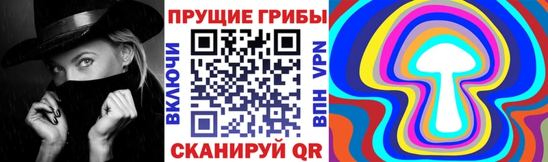 даркнет сайт  omg зеркало  Псилоцибиновые грибы Cubensis  Безенчук 